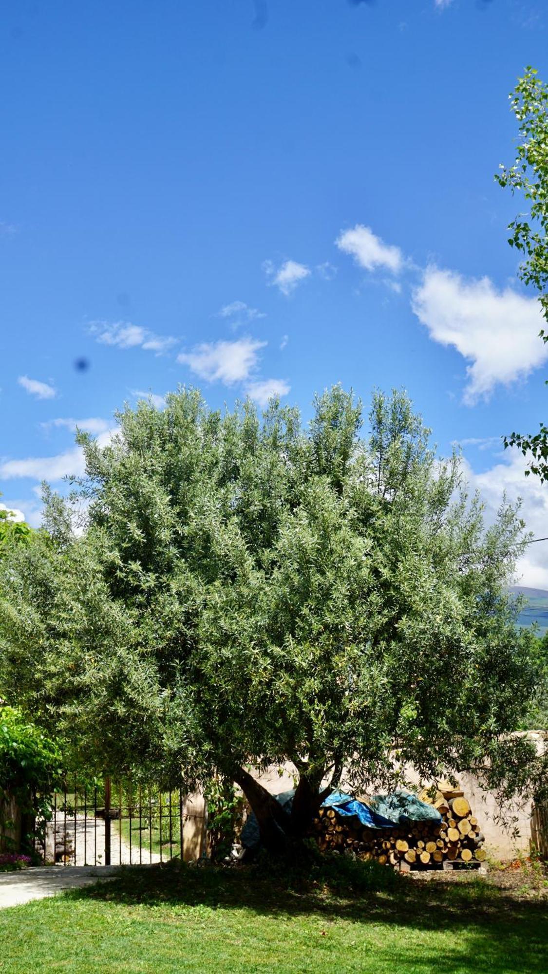 La Belle Histoire Gite Luberon Bédoin المظهر الخارجي الصورة